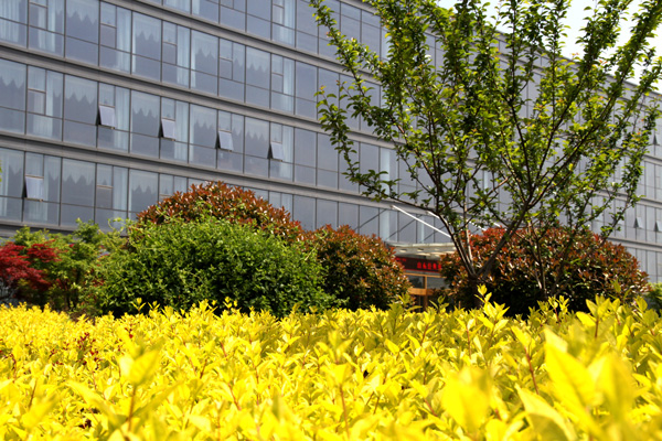 1522835200607571.jpg IMG_0826.JPG